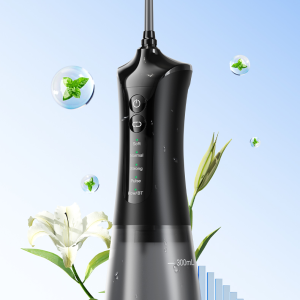 SMART WATER FLOSSER C6SE